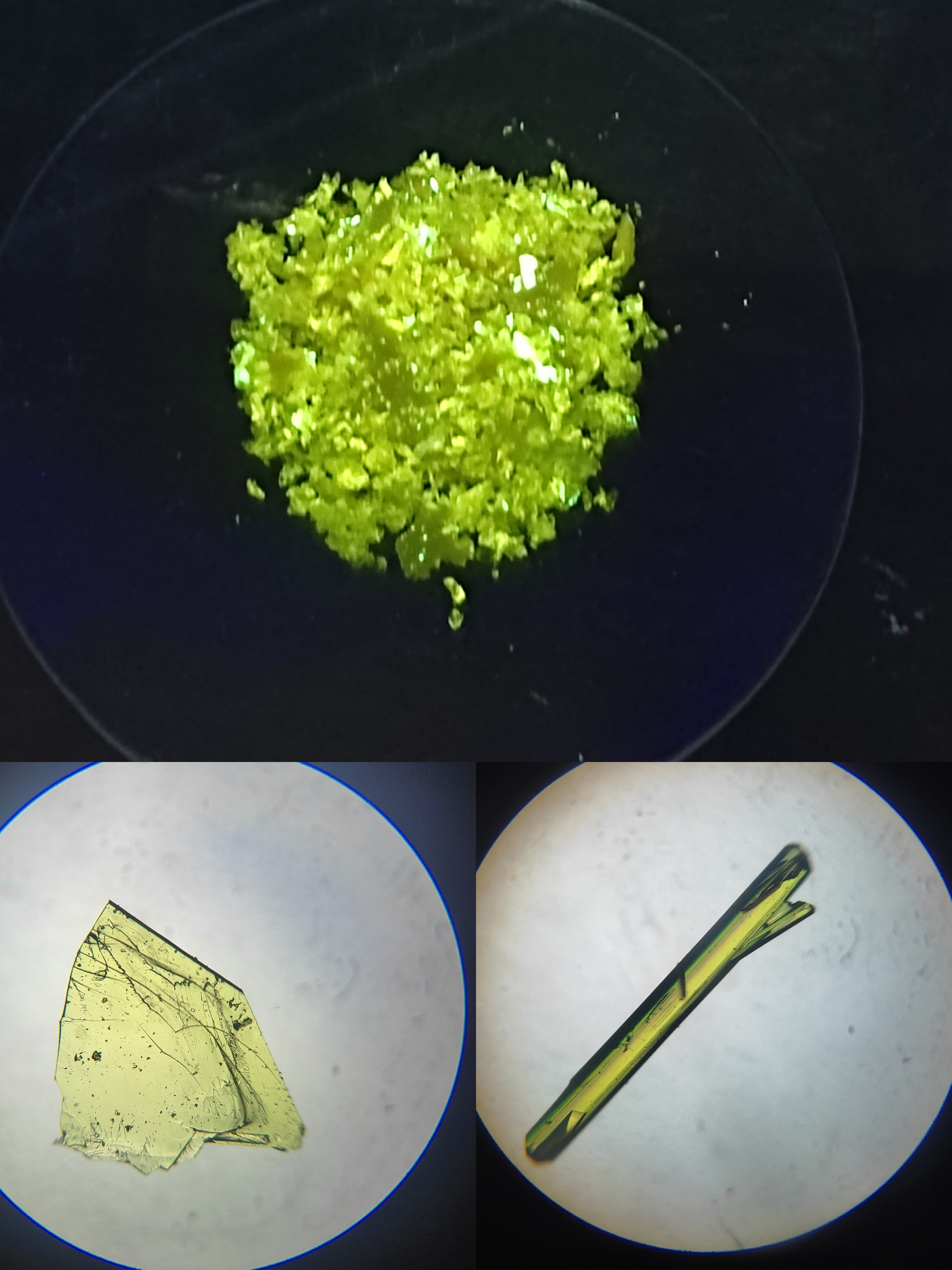 Shaista Lone's 'Twins in Crystals' shows polymorphs, with a green pile on top above a green blob and a green line