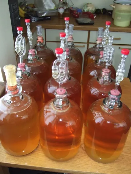 Cider fermenting 12 bottles of cider