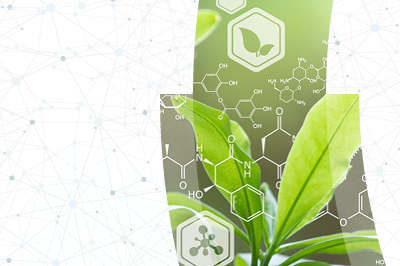 Directing biosynthesis VIII Teaser Image