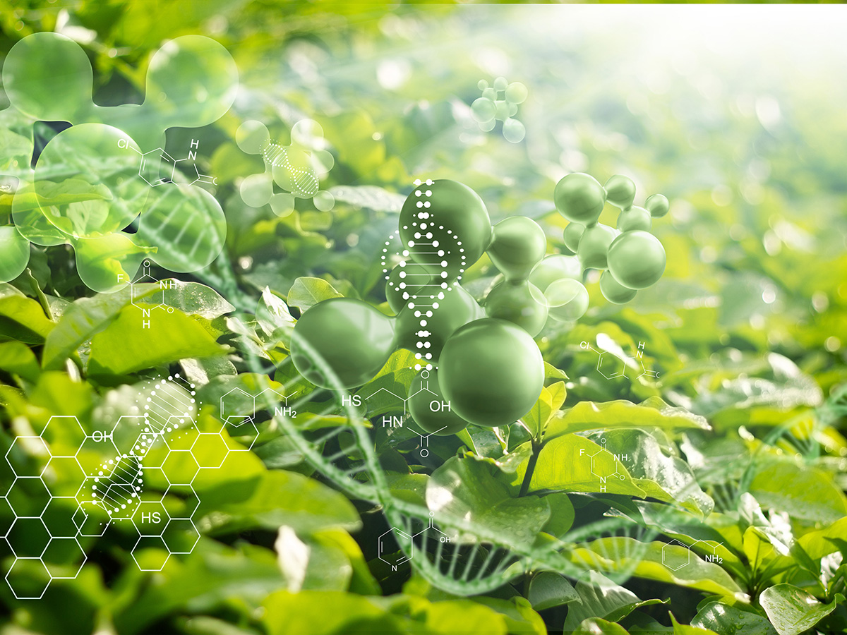 29th International symposium: Synthesis in organic chemistry Main Image