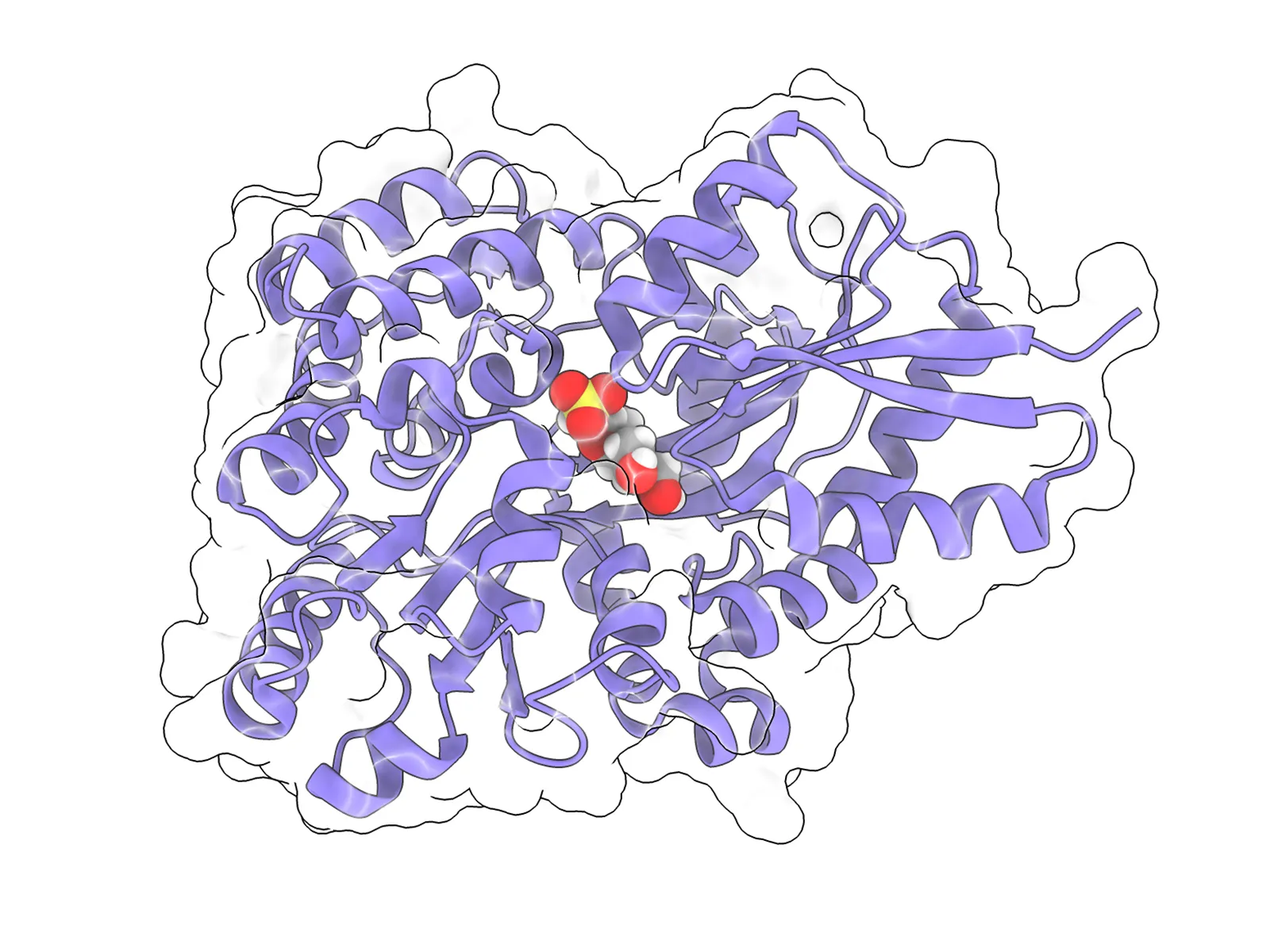 Biosulfur Recyclers