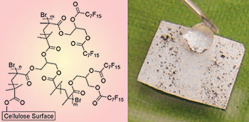 Water droplets roll off the surface of paper modified with fluorinated brush-like molecules