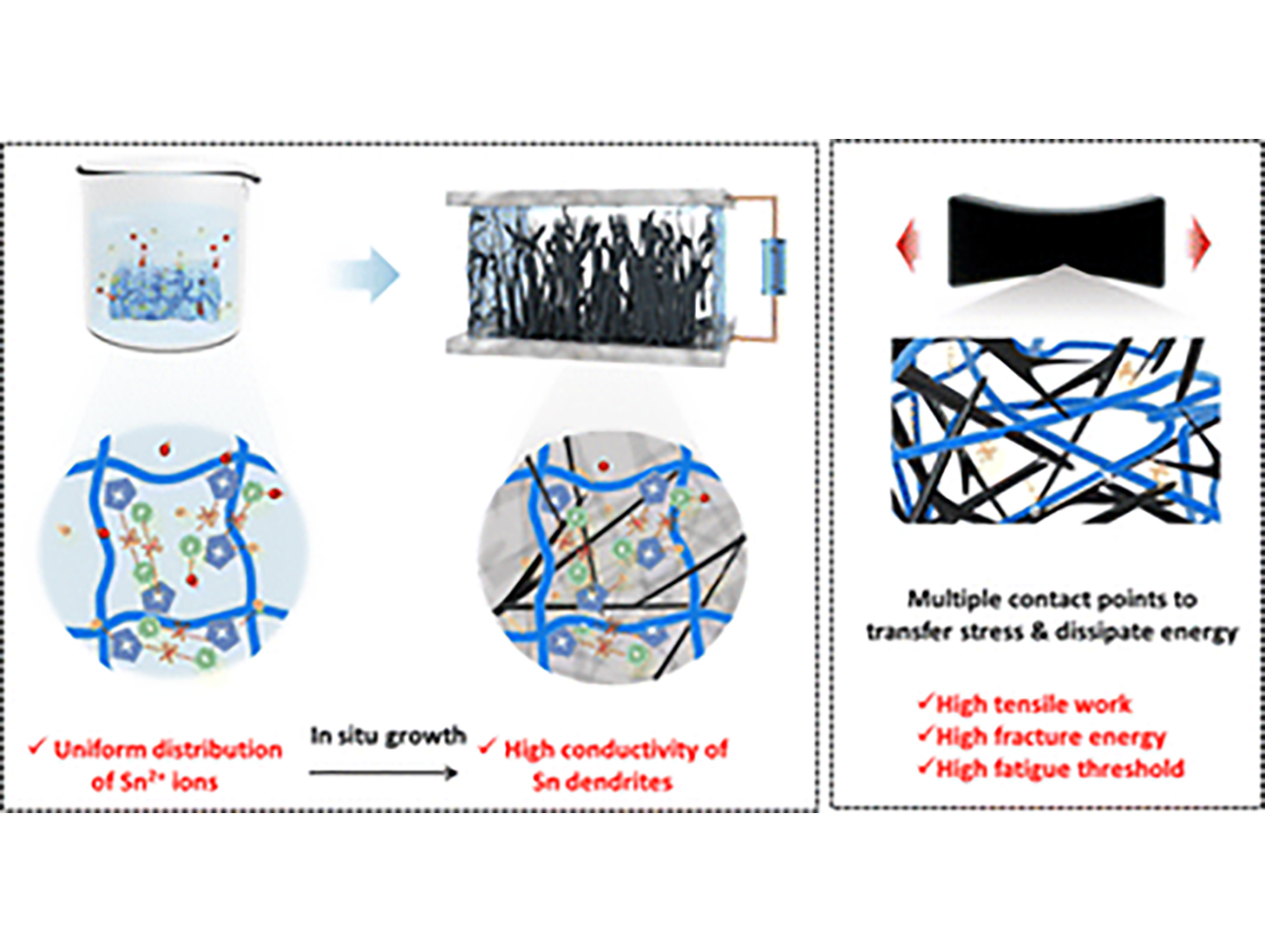 Graphical abstract for research on developing tough, fatigue-resistant and conductive hydrogels via in situ growth of metal dendrites