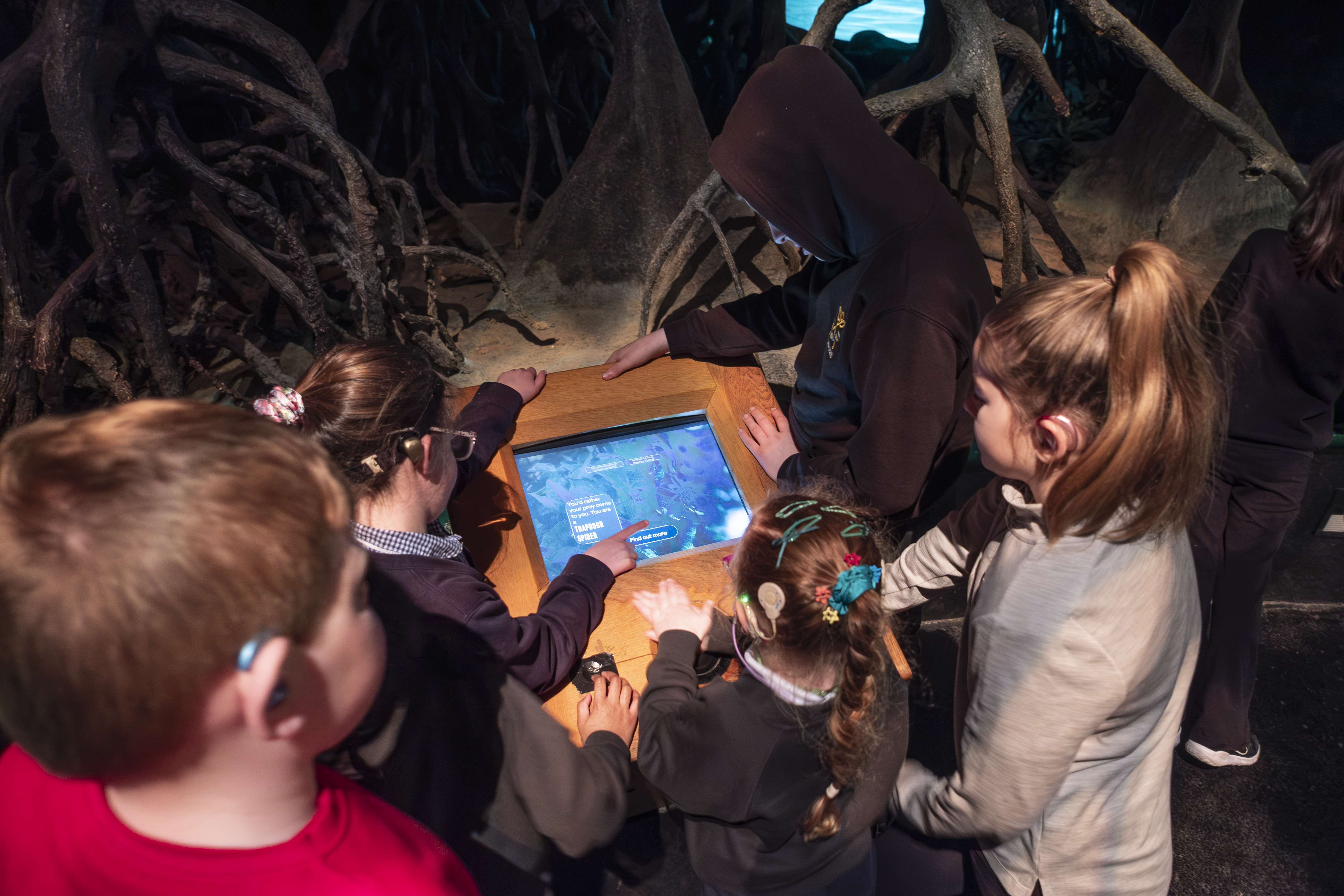 A group of four children look at a screen as part of the Rainforest Gallery
