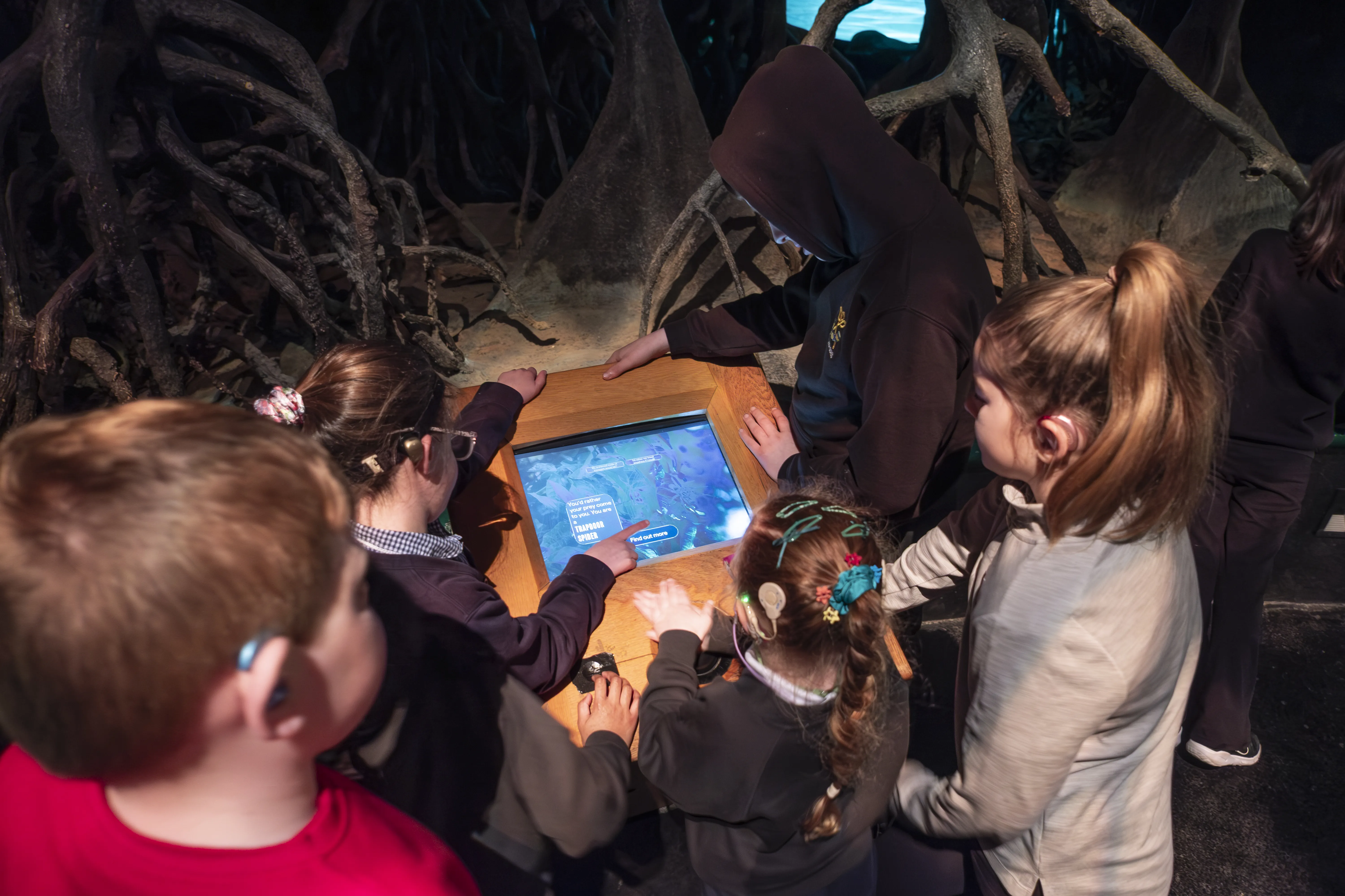 Deaf Science day - Rainforest Gallery - credit Robin Mair Photography A group of four children look at a screen as part of the Rainforest Gallery