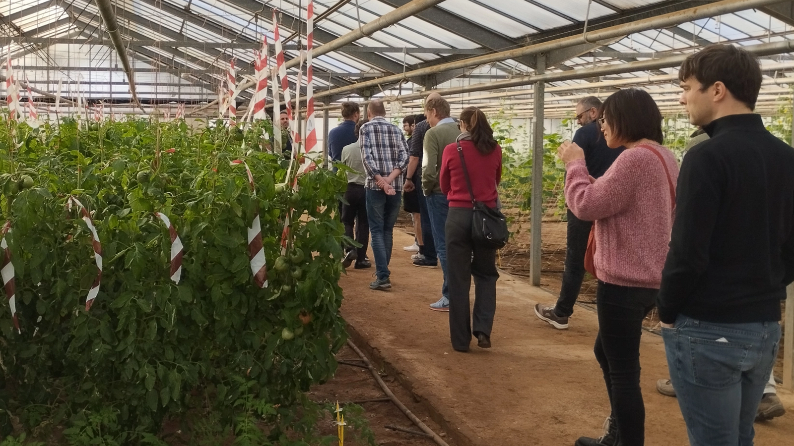 The BoostCrop team with their visitors touring a greenhouse