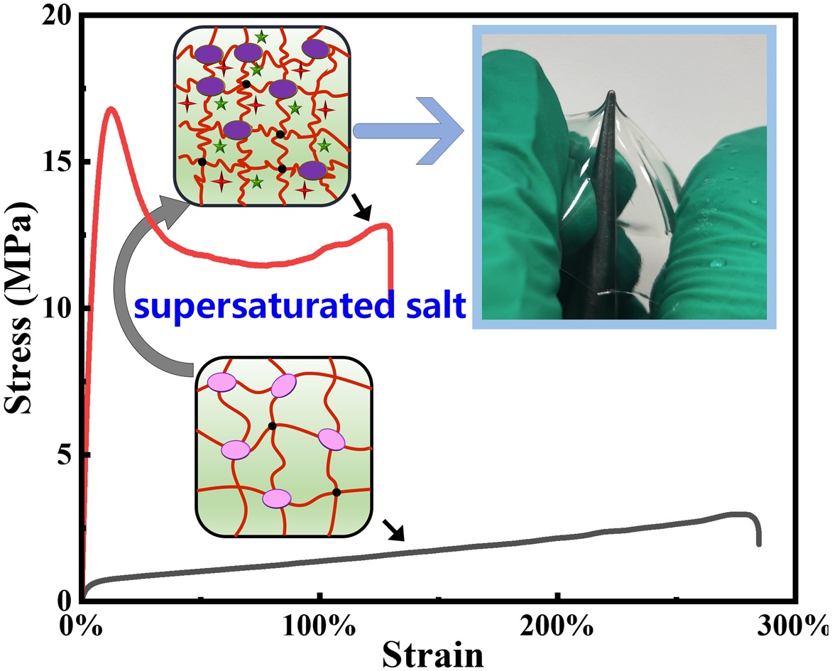Graphical abstract from research paper on  Puncture-resistant hydrogels with high mechanical performance achieved by the supersaturated salt