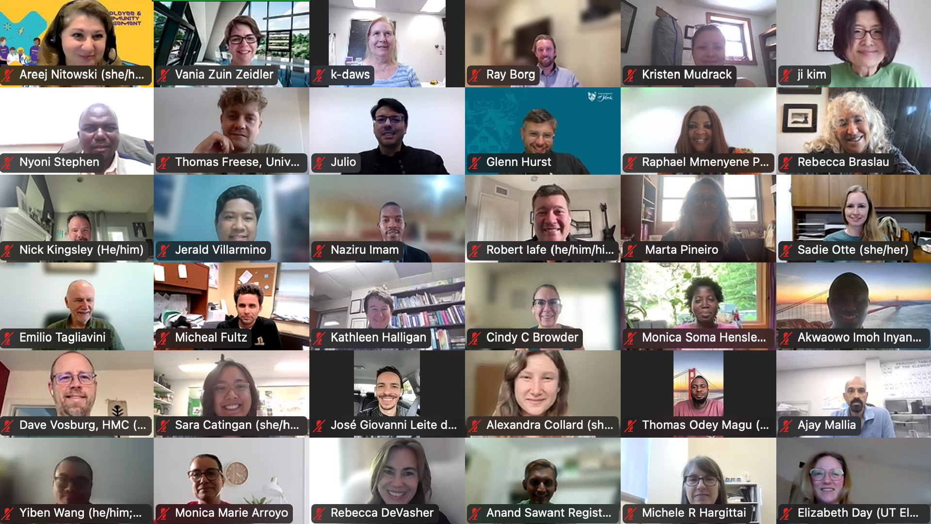The Green Chemistry Commitment on a large zoom call