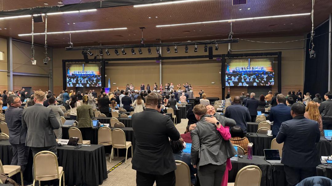 Intergovernmental Meeting closing plenary participants celebrated the announcement of the successful conclusion to negotiations