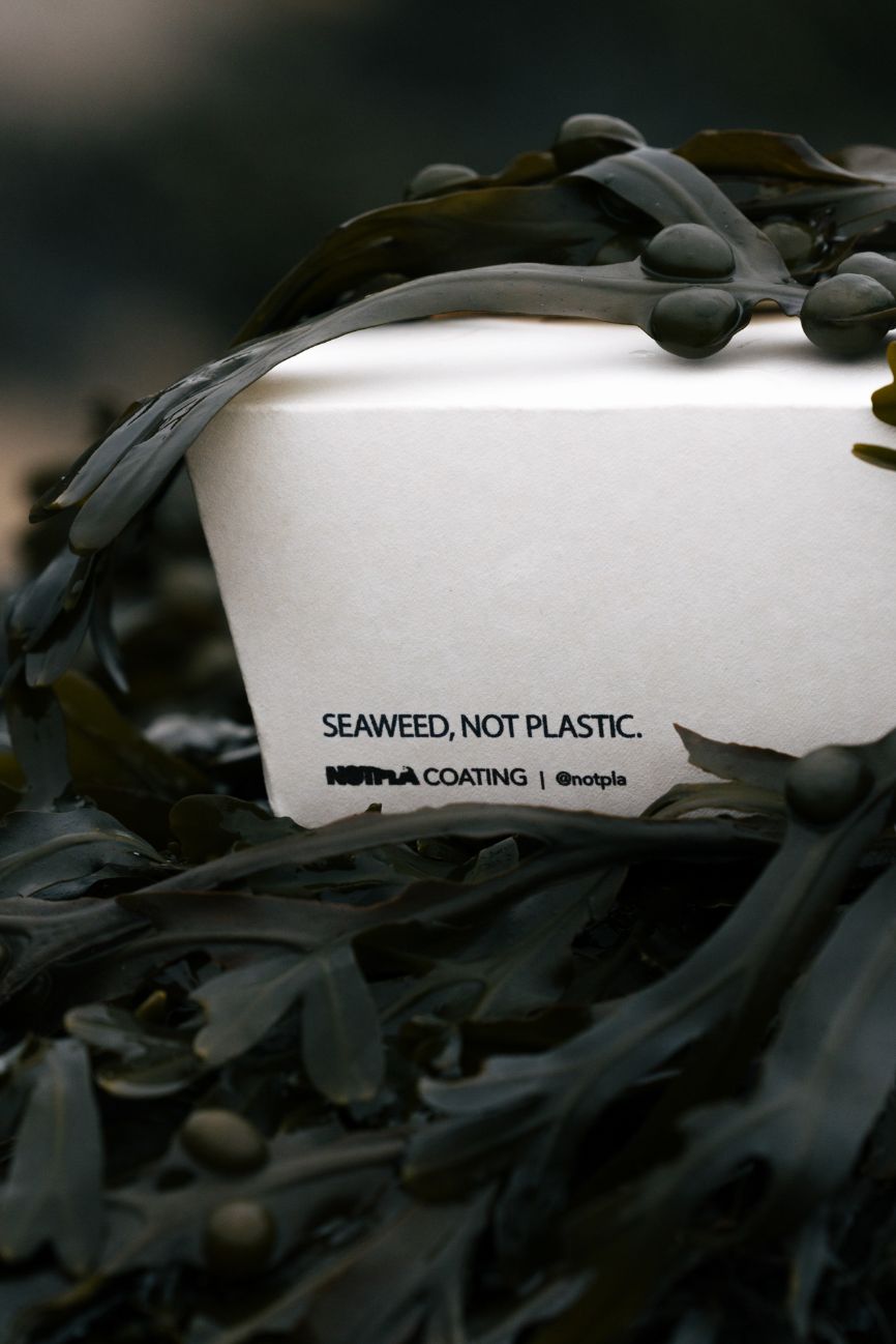 A Notpla takeaway box made with Notpla coating