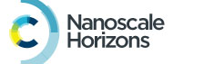 Nanoscale Horizons Logo