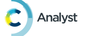 Analyst Logo