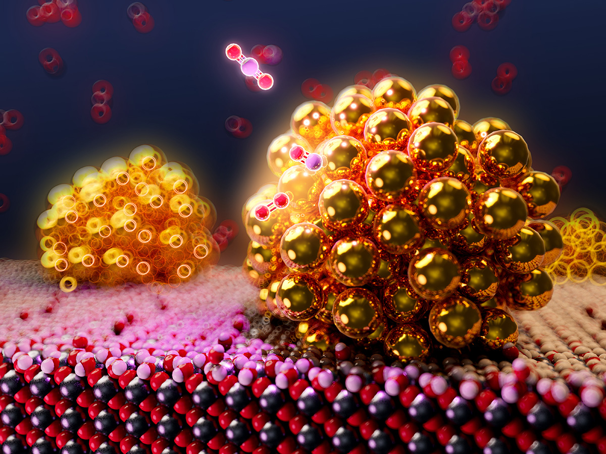 BioCatUK 2027 - UK Meeting in Biocatalysis Main Image