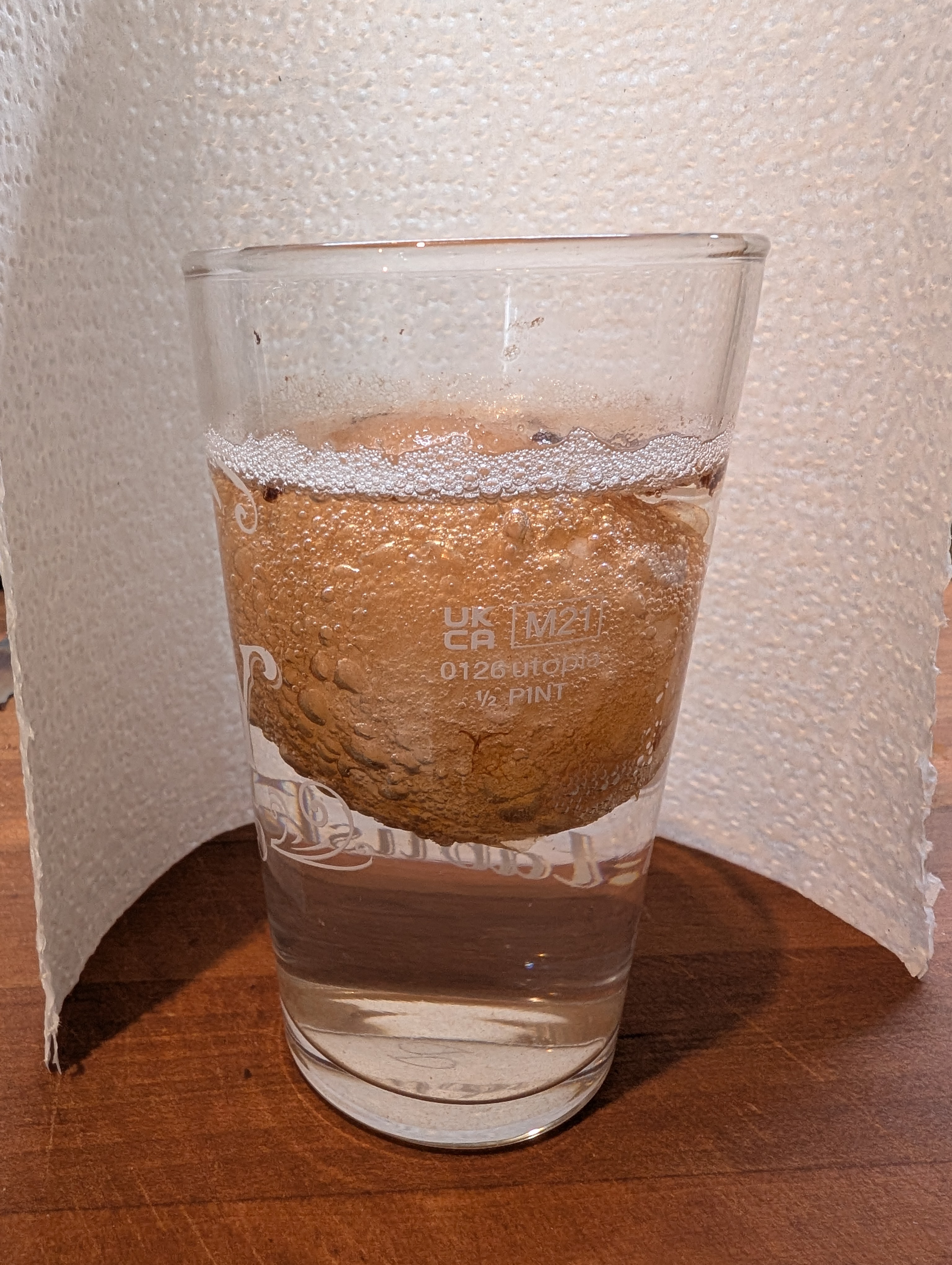 A glass with bubbling liquid that contains an egg
