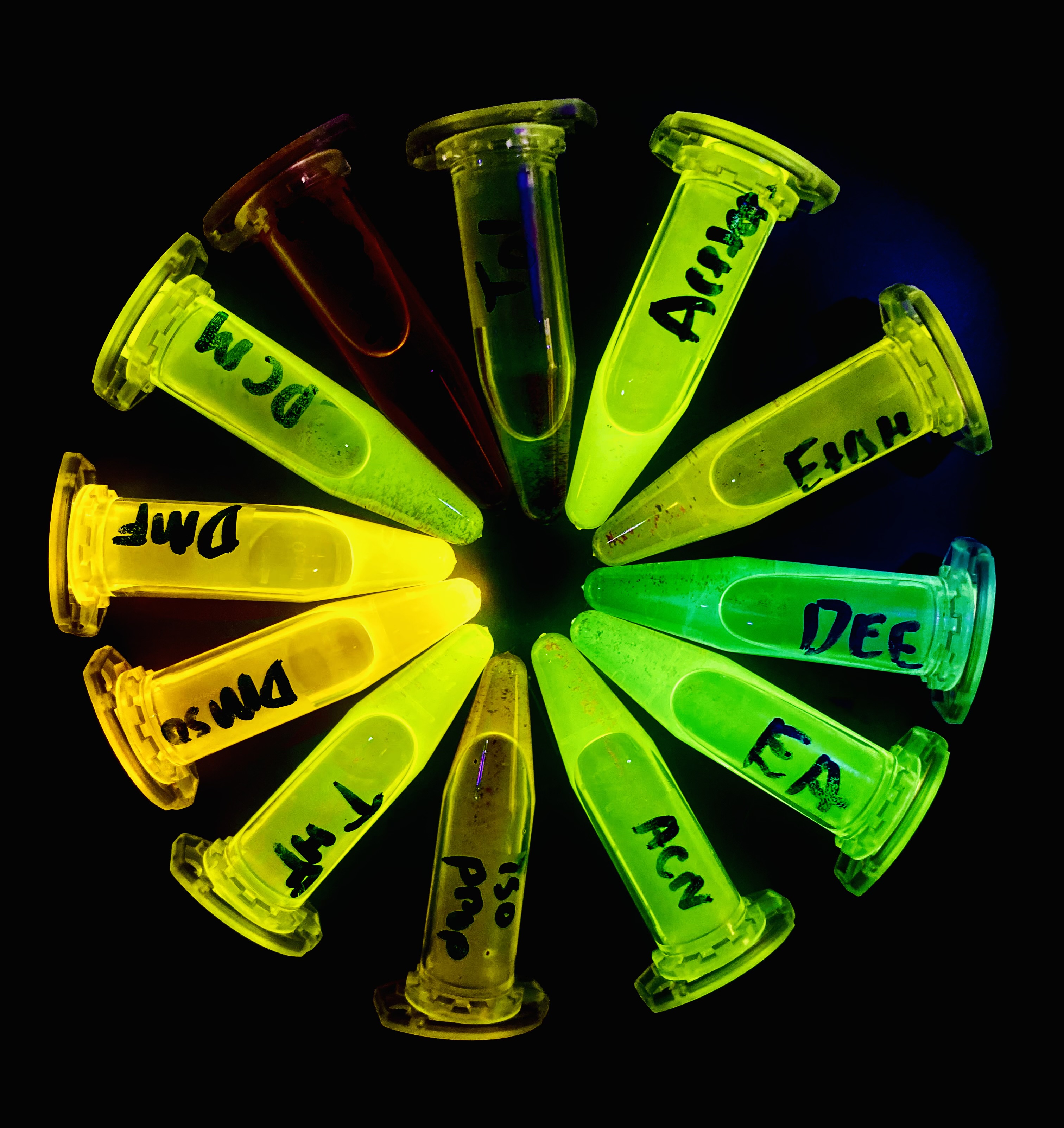 Joy Karmakar's 'The Wheel of Fluorescence' shows a series of illuminated, fluorescent items in a circle on a black background