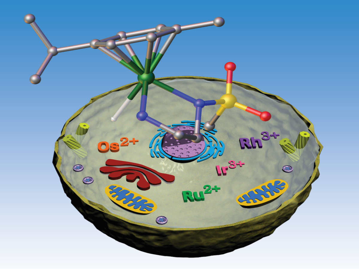 In-cell Organometallic Redox Catalysis