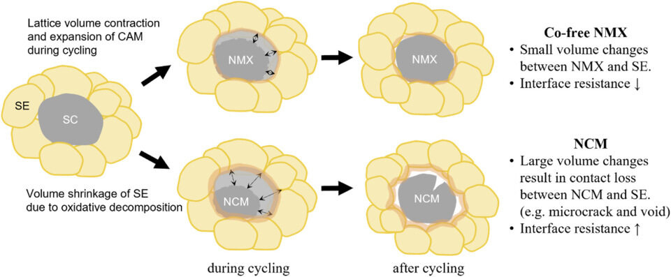 Graphical abstract for electrochemo-mechanical effects of Co-free layered cathode on interfacial stability in all-solid-state batteries under high-voltage operation 