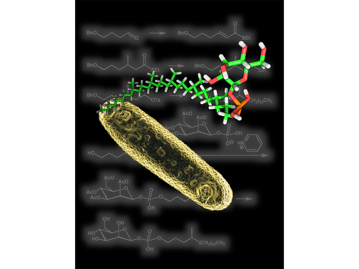 A close-up of a molecular structure by The Lipidomics Team