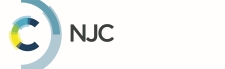 RSC New Journal of Chemistry Logo
