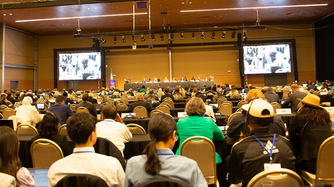 Intergovernmental Meeting closing plenary presentations and discussions