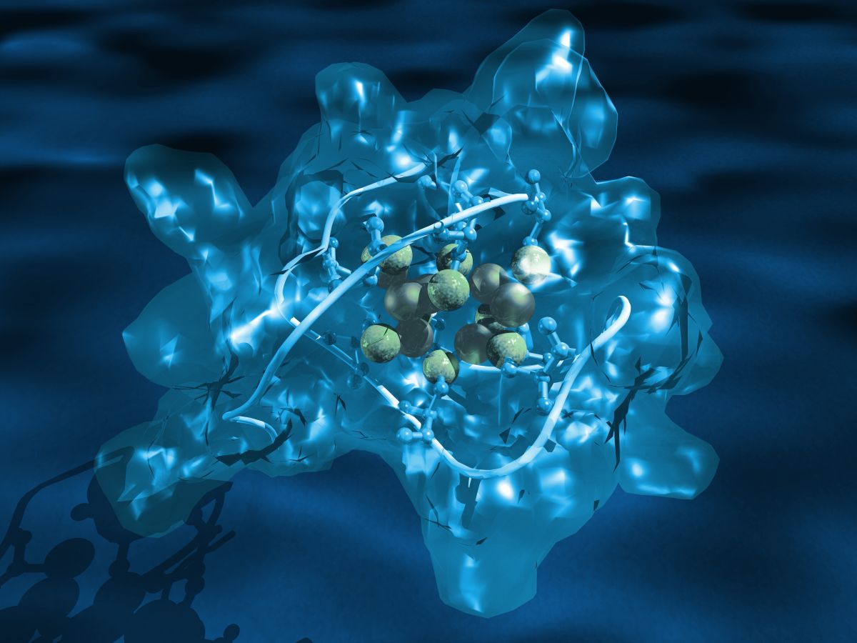22nd International conference on biological inorganic chemistry (ICBIC22) Main Image