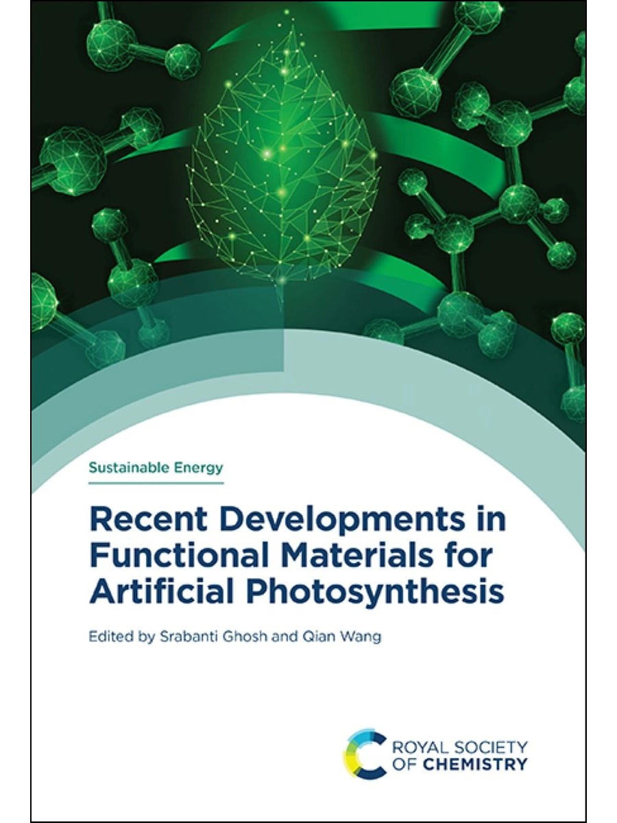 Sustainable energy book series cover