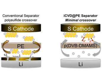 Graphical abstract: Mitigating polysulfide crossover in lithium–sulfur batteries with polymer-coated separators