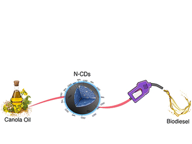 Graphical abstract: Nitrogen-doped carbon dots in transesterification reactions for biodiesel synthesis