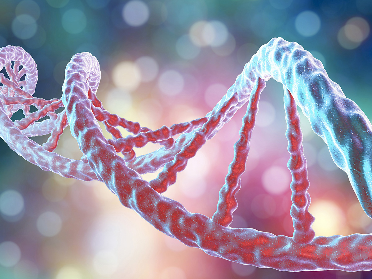 96th Harden Conference: MoTEC - Molybdenum & Tungsten Enzymes Main Image