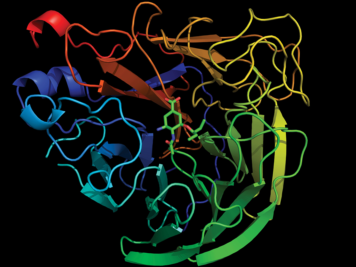 Medicinal chemistry summer school 2026 Main Image