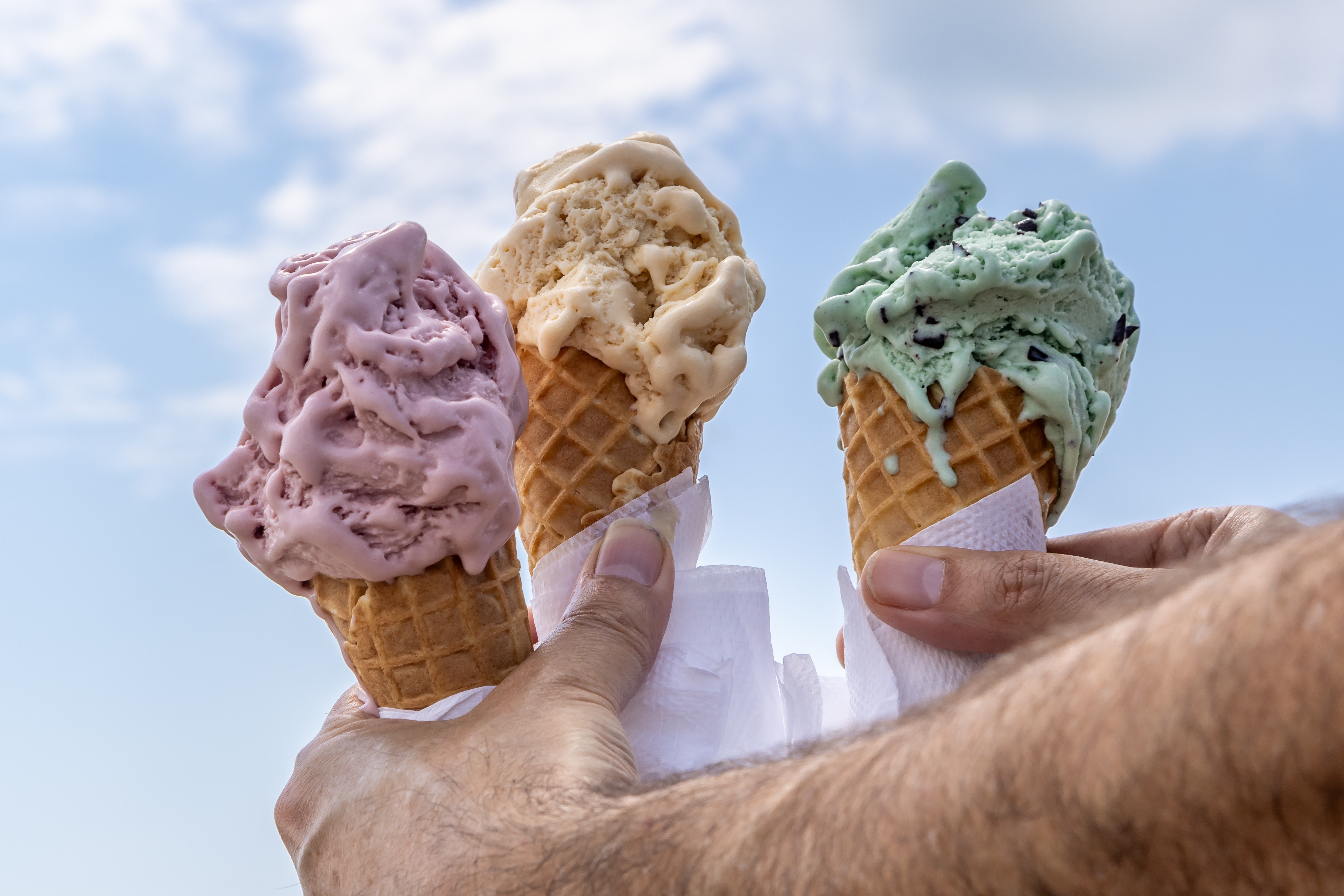 A picture of three ice cream cones - strawberry, vanilla maybe, and mint choc chip - being held by a hand from a body off screen.