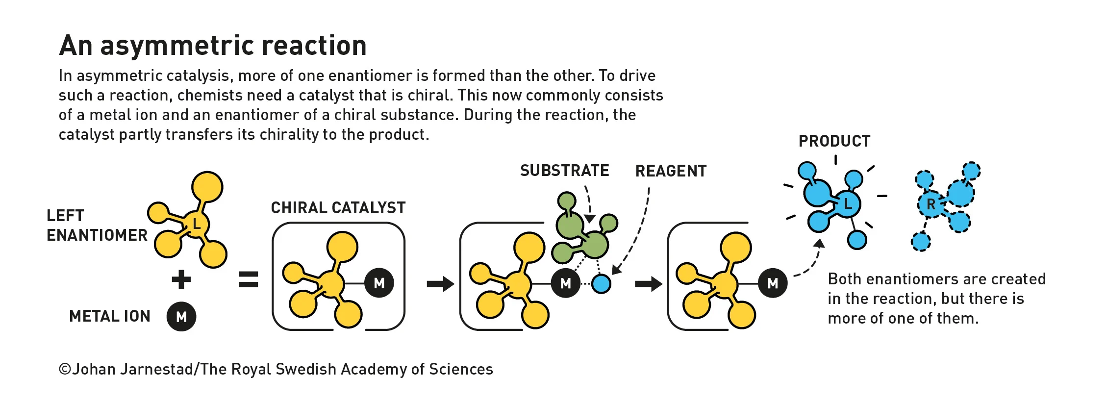 A diagram explaining an asymmetric reaction
