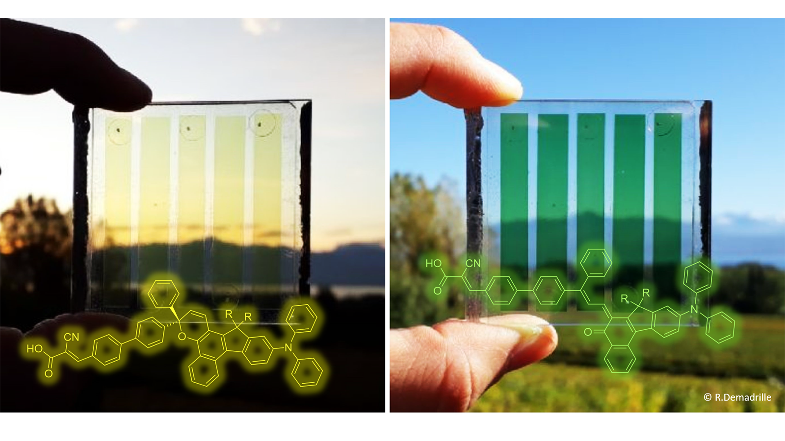 a hand holding a glass with a green and blue image