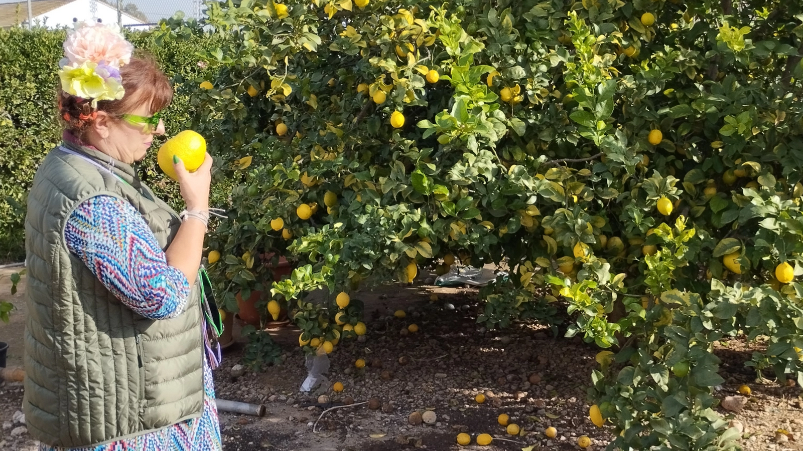 Member of the BoostCrop team in front of a fruit tree smelling one of the fruits