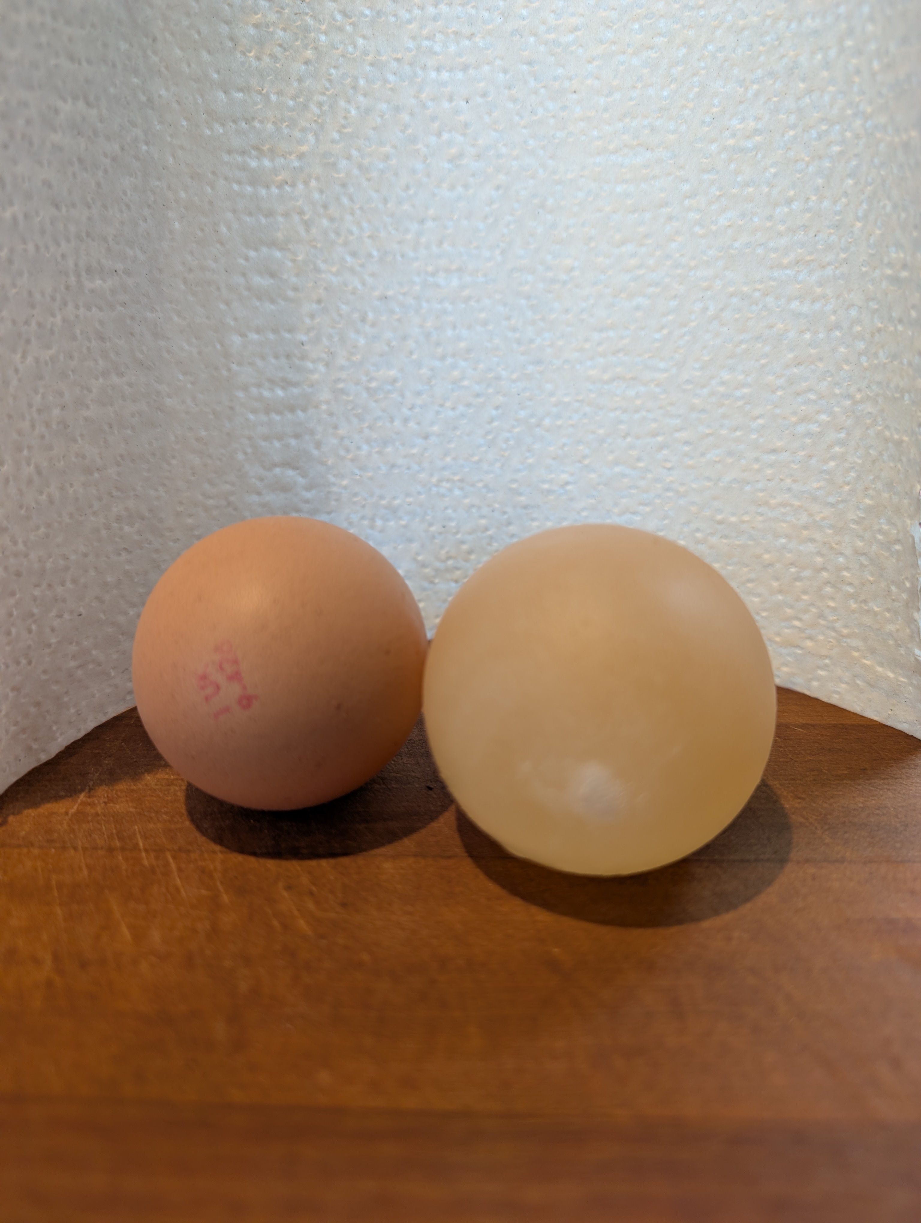 Two eggs on a table, the one on the left is normal where the one on the right has been changed by the experiment