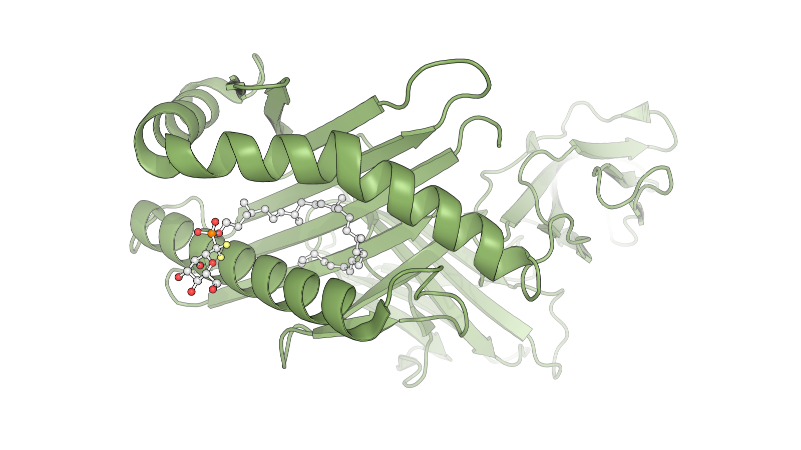 A molecular green structure by The Lipidomics Team