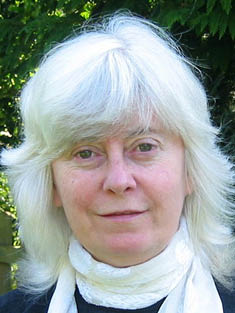 Professor Chris Willis