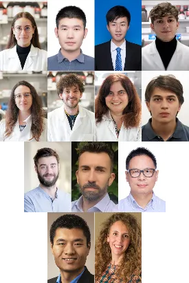 EES Solar Outstanding Paper Article winners 2025 Collage headshots of EES Solar Outstanding Paper Article winners