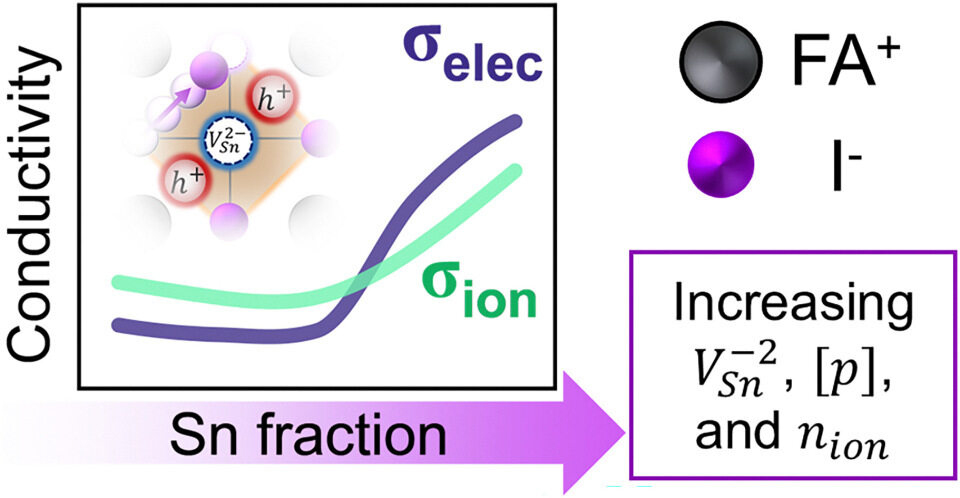 Graphical abstract for deciphering the interplay between tin vacancies and free carriers in the ion transport of tin-based perovskites 