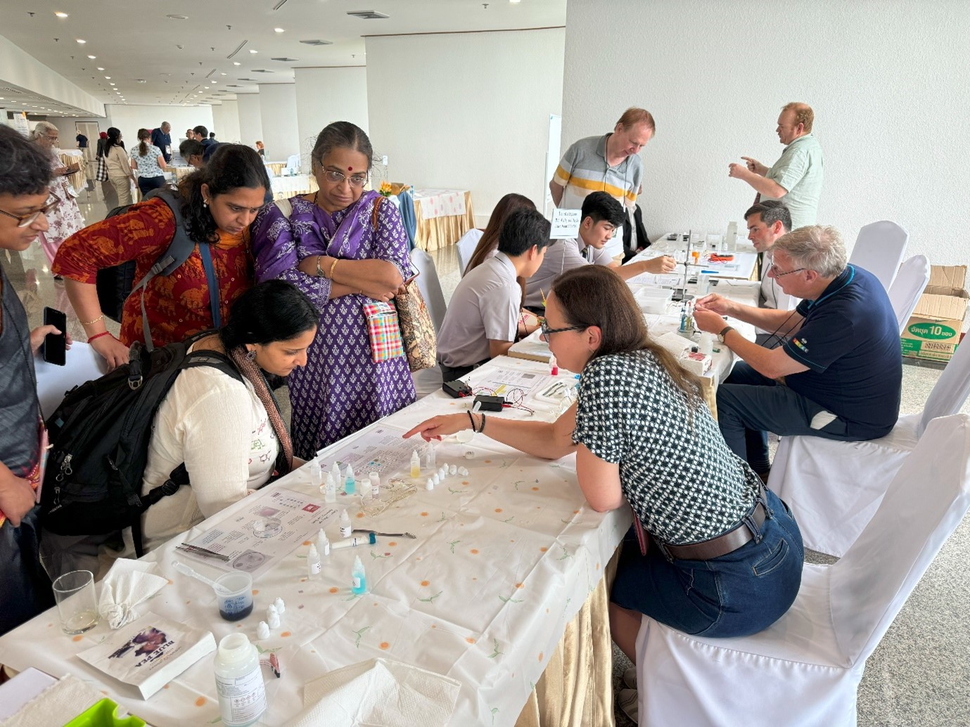 The UK ‘five’ showing activities to international teachers, teacher trainers and university researchers in chemistry education in a three-hour workshop.