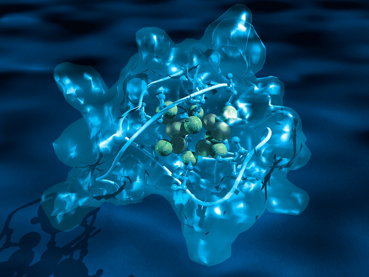 Metallothionein protein with blue background