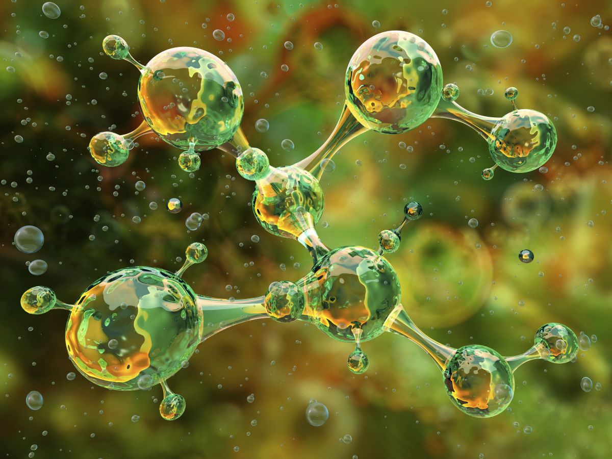 29th International symposium: Synthesis in organic chemistry Main Image